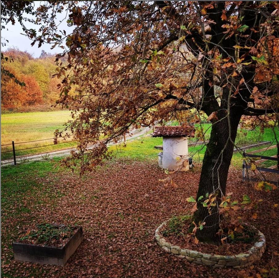 Cameloth B&B Settimo Rottaro Exterior photo